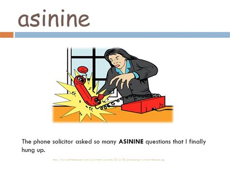 asinine synonym|asinine definition adjective test.